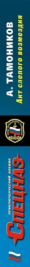 Книга Акт слепого возмездия (Александр Тамоников) — 3