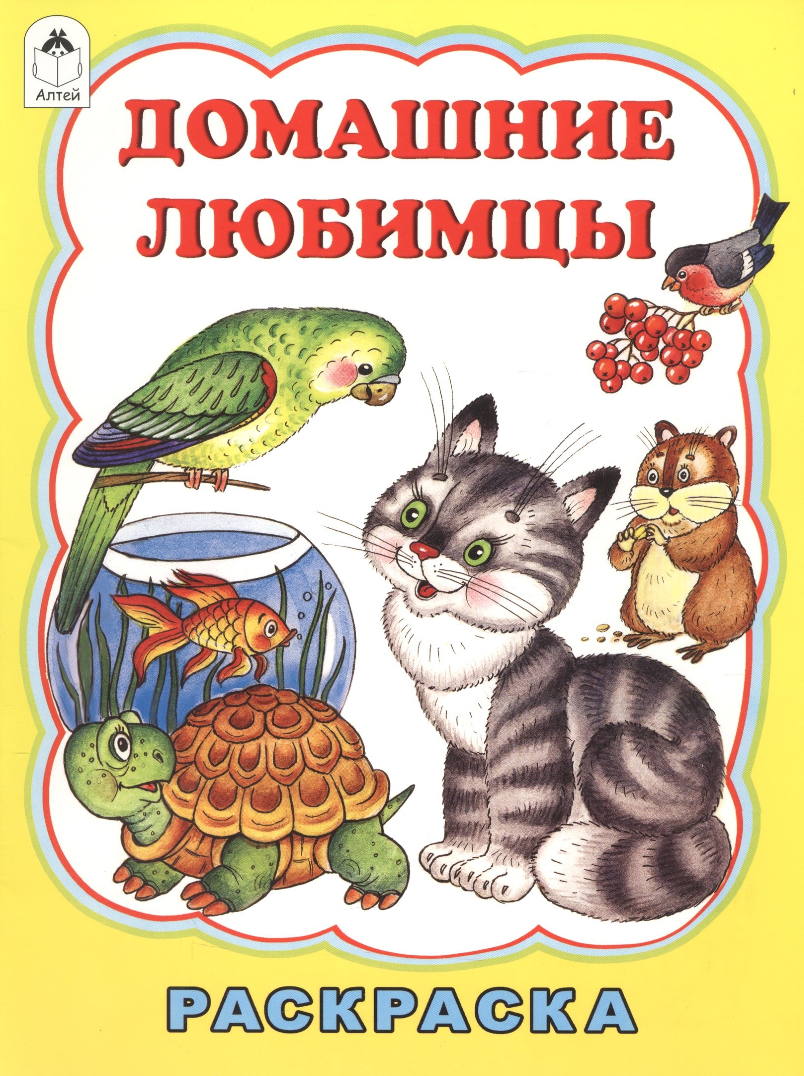 

Домашние любимцы