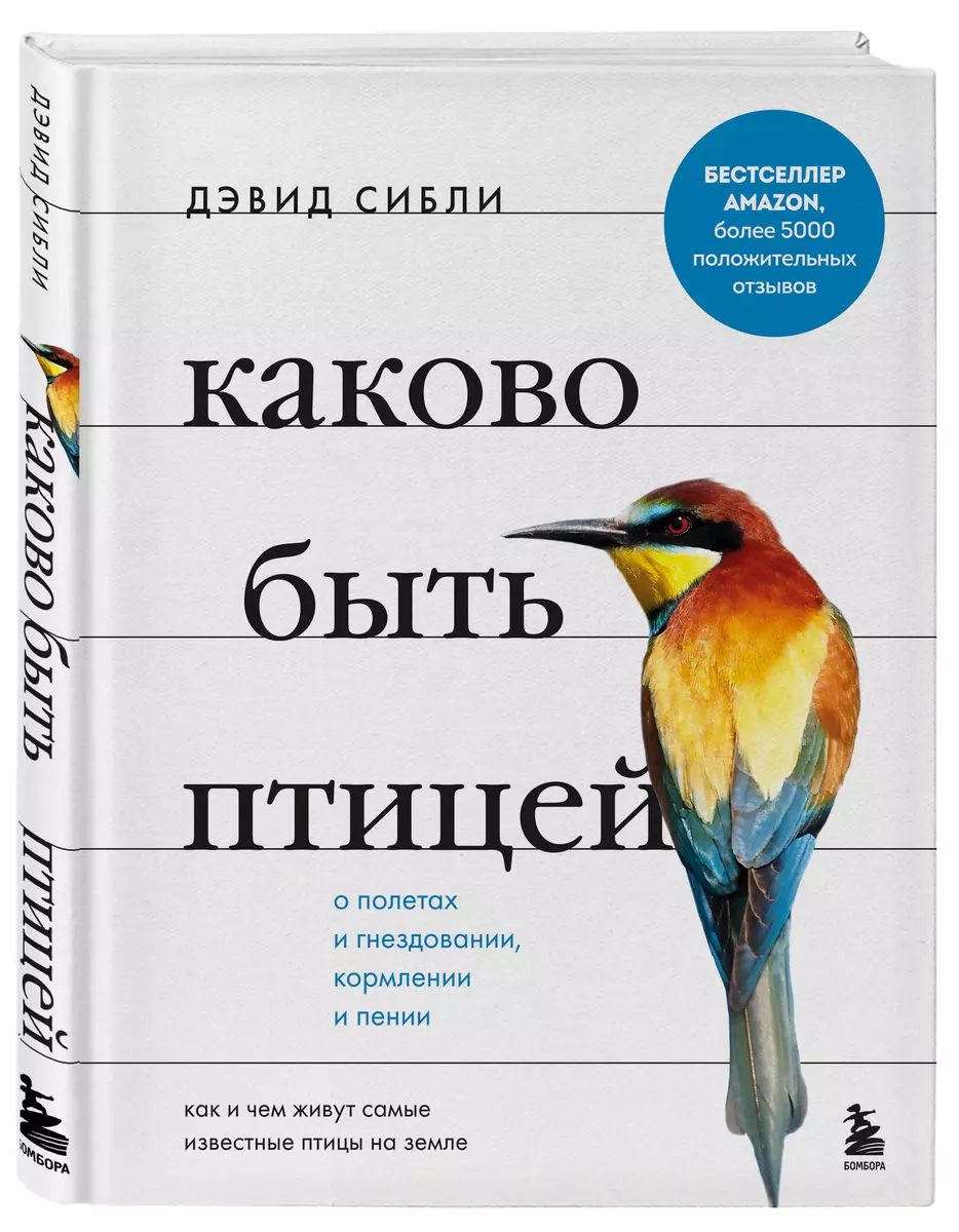 Каково быть птицей: о полетах и гнездовании, кормлении и пении. Как и чем  живут самые известные птицы на земле (Дэвид Сибли) - купить книгу с  доставкой в интернет-магазине «Читай-город». ISBN: 978-5-04-120222-4