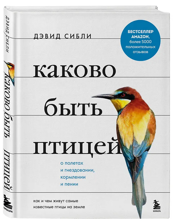 Книга Каково быть птицей: о полетах и гнездовании, кормлении и пении. Как и чем живут самые известные птицы на земле (Дэвид Сибли) — 5