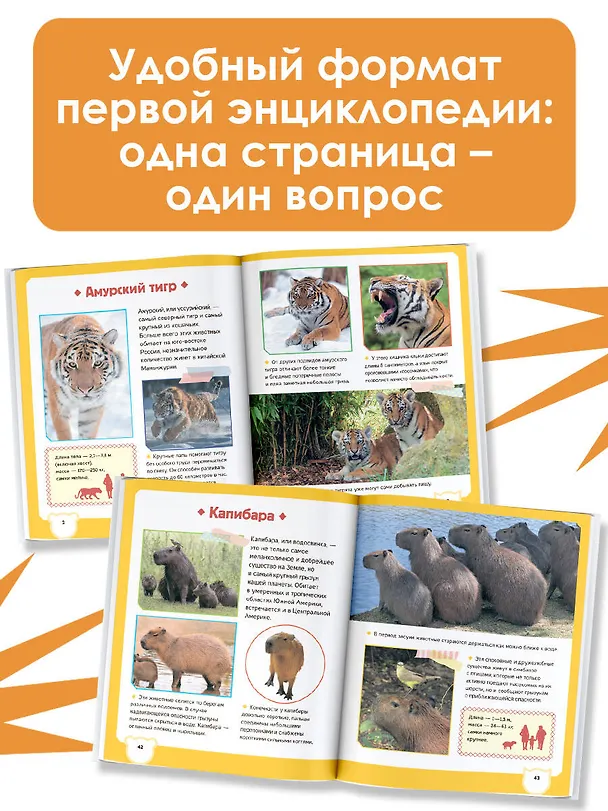 Книга Животные (Любовь Вайткене, Ирина Попова) — 7