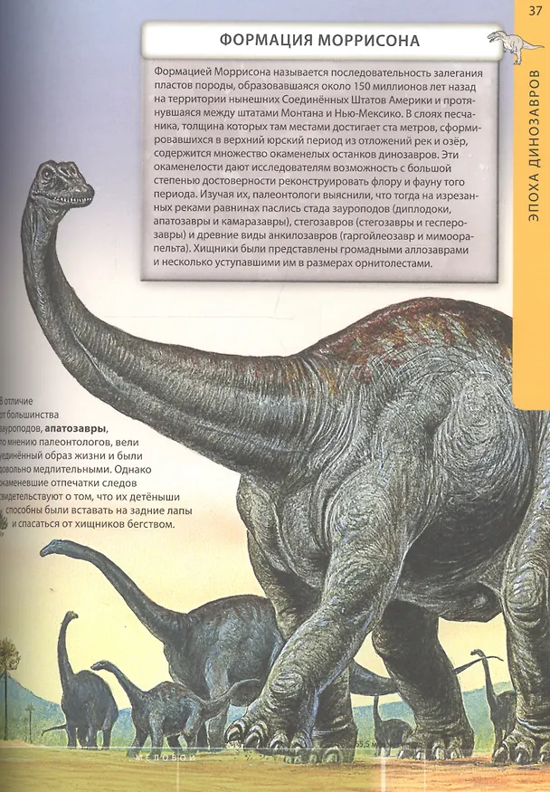 Книга Доисторический мир динозавров. Детская энциклопедия () — 5