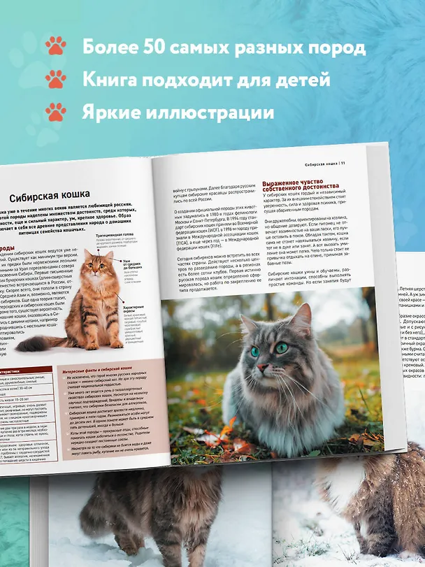 Книга Самые известные породы. КОШКИ. Большая иллюстрированная энциклопедия (Алина Ярощук, Людмила Романова) — 8