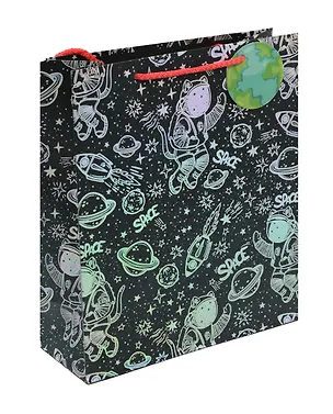 Пакет А4 32*26*12.5 "Космокот" дет., бум.мат.ламинат   3040736