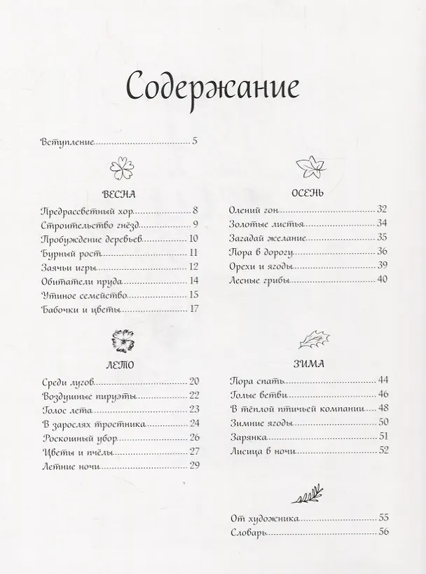 Книга Год в лесу (Хелен Апорнсири) — 2