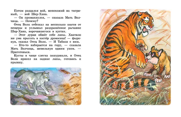 Книга Маугли (Редьярд Киплинг) — 13