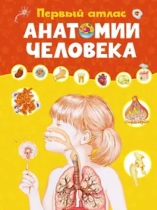 Первый атлас анатомии человека