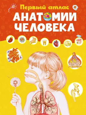 Первый атлас анатомии человека — 3013333 — 1