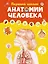 Первый атлас анатомии человека — 3013333 — 1