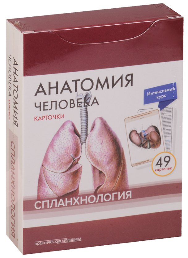 Книга Анатомия человека. Спланхнология (49 карточек) (Владимир Николенко, М.О. Тимофеева, Михаил Сапин) — 1