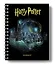 Гарри Поттер. Хогвартс. Блокнот в точку (bullet journal, 162x210мм, твердая обложка, пружина, бумага 120 стр.) — 2924905 — 2
