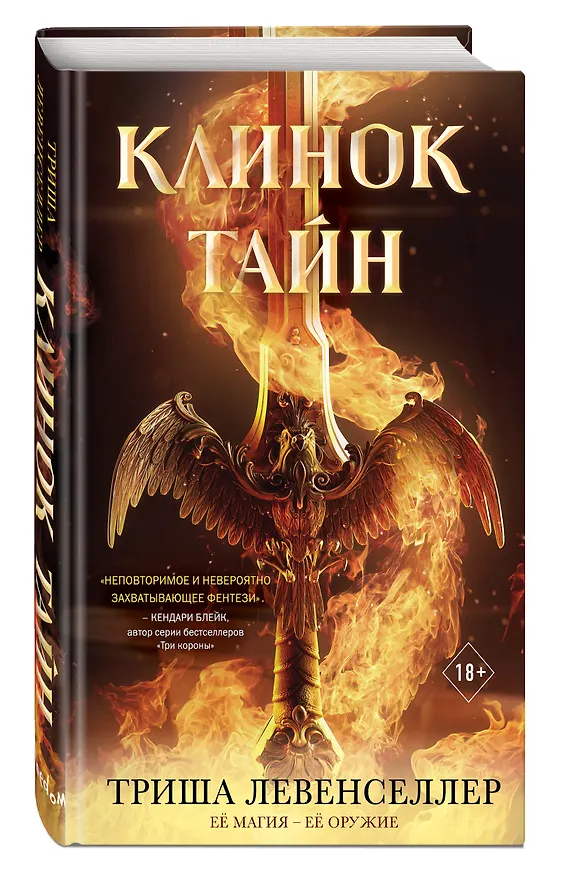 Книга Кузнец магии. Клинок тайн (#1) (Триша Левенселлер) — 5
