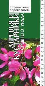 Деревья и кустарники среднего Урала