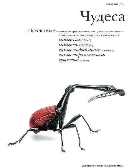 Книга Поразительные насекомые. Книга про подземных математиков, мастеров блефа, дружных кочевников, зомби, уборщиков мусора и многих-многих других (Барт Россел) — 5