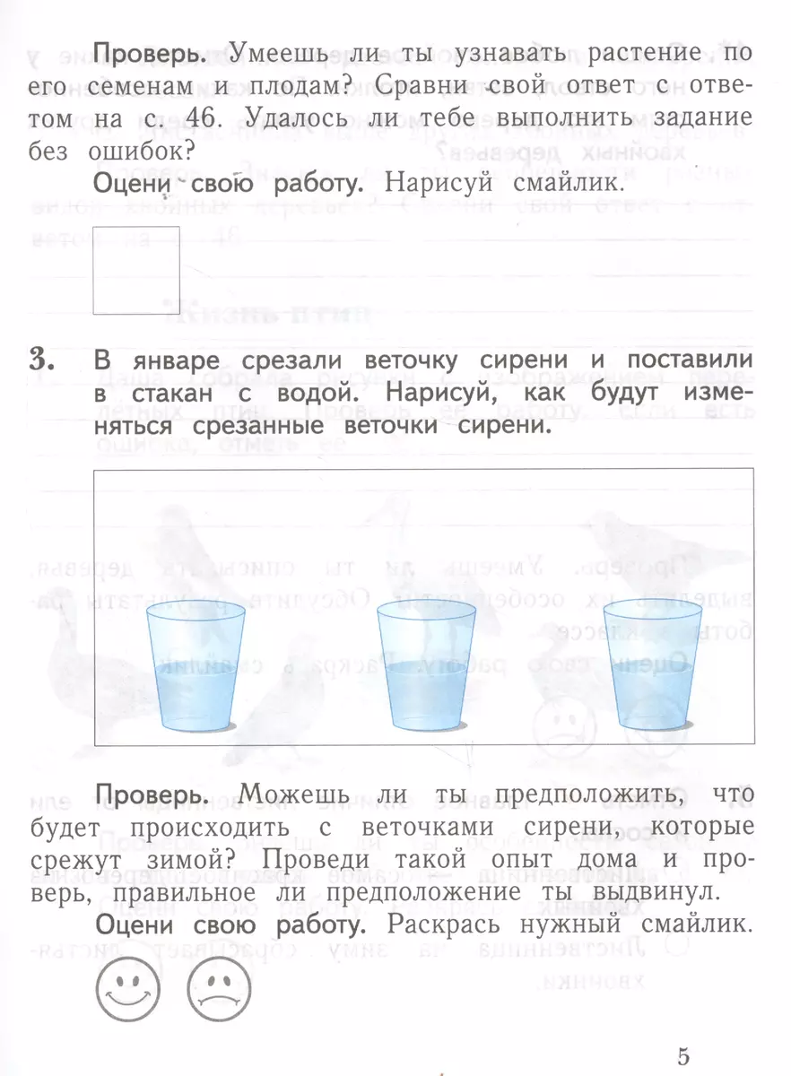 Окружающий мир 1 кл. Тетрадь № 2 для проверочных работ (2,3 изд) (мНШXXI)  Виноградова (РУ) (Наталья Виноградова) - купить книгу с доставкой в  интернет-магазине «Читай-город». ISBN: 978-5-360-10125-3