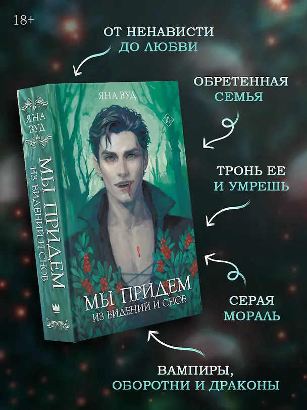 Книга Мы придем из видений и снов (Яна Вуд) — 6