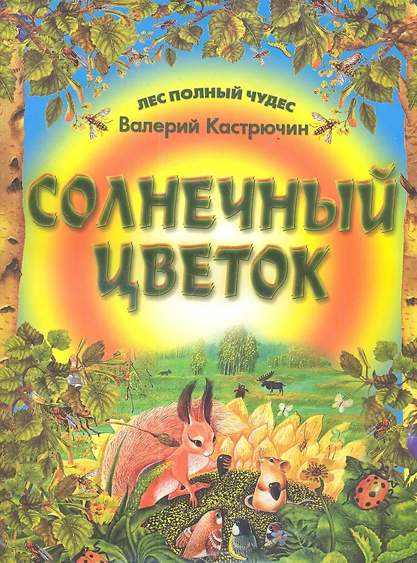 Книга Солнечный цветок (Валерий Кастрючин) — 1