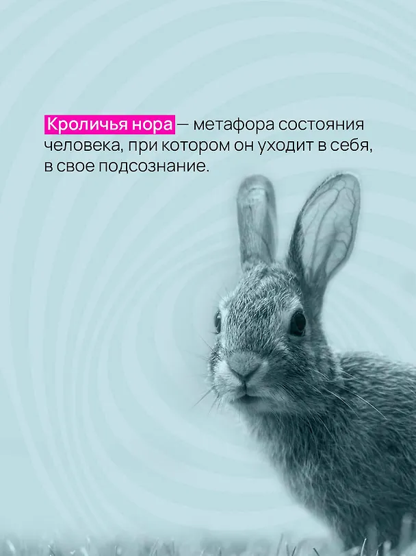 Книга Вниз по кроличьей норе (Марк Биллингхэм) — 7