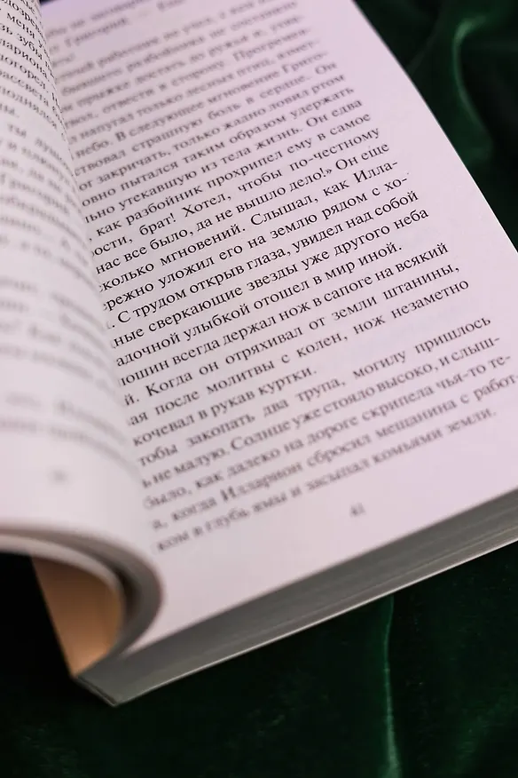 Книга Авантюристка. Посланница судьбы (Анна Малышева) — 10