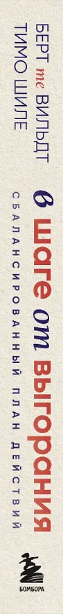 Книга В шаге от выгорания. Сбалансированный план действий, как вырваться из замкнутого круга хронической усталости (Берт те Вильдт, Тимо Шиле) — 3