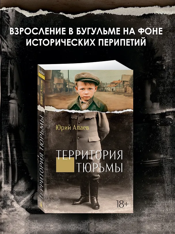 Книга Территория тюрьмы (Юрий Алаев) — 5