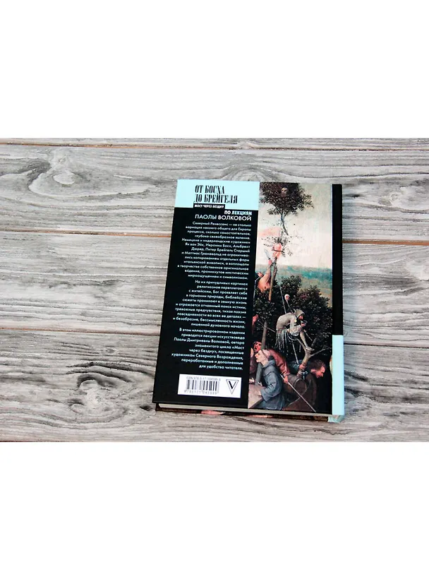Книга От Босха до Брейгеля. Корабль дураков (Паола Волкова) — 7