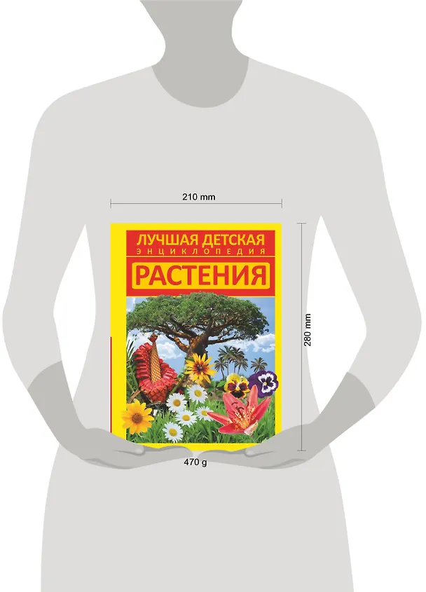 Книга Растения (Елена Хомич) — 4