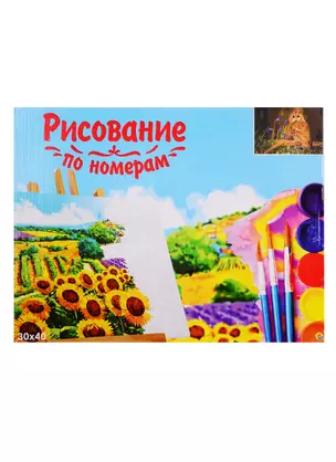 Набор для раскрашивания по номерам ТМ Рыжий Кот Холст Древесная сова 30х40см Х-9103 — 2798298 — 1