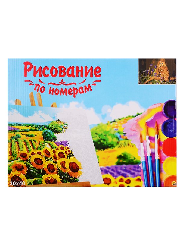 Набор для раскрашивания по номерам ТМ Рыжий Кот Холст Древесная сова 30х40см Х-9103 2798298 — 1