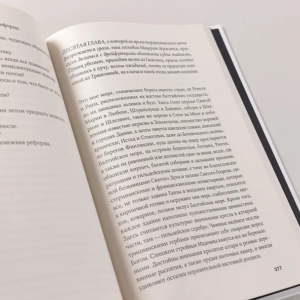 Книга Крысиха (Гюнтер Грасс) — 7