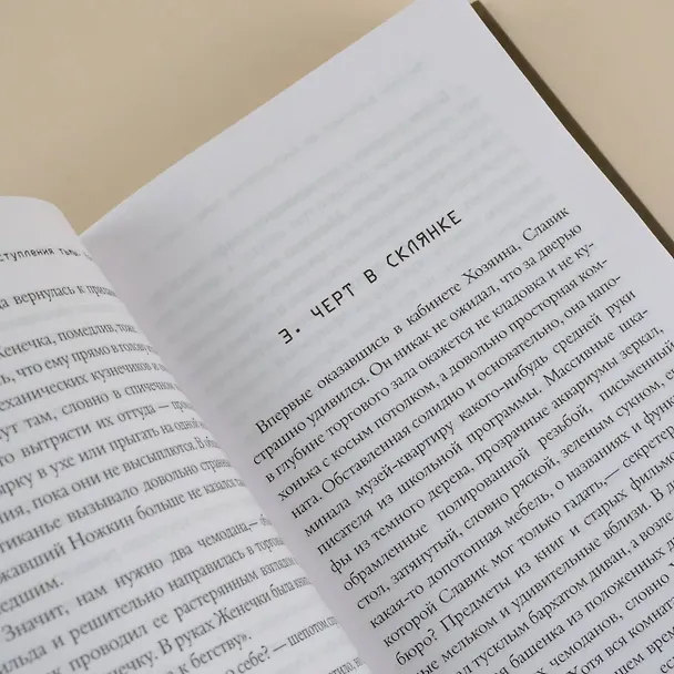 Книга Магазин работает до наступления тьмы (Дарья Бобылева) — 11