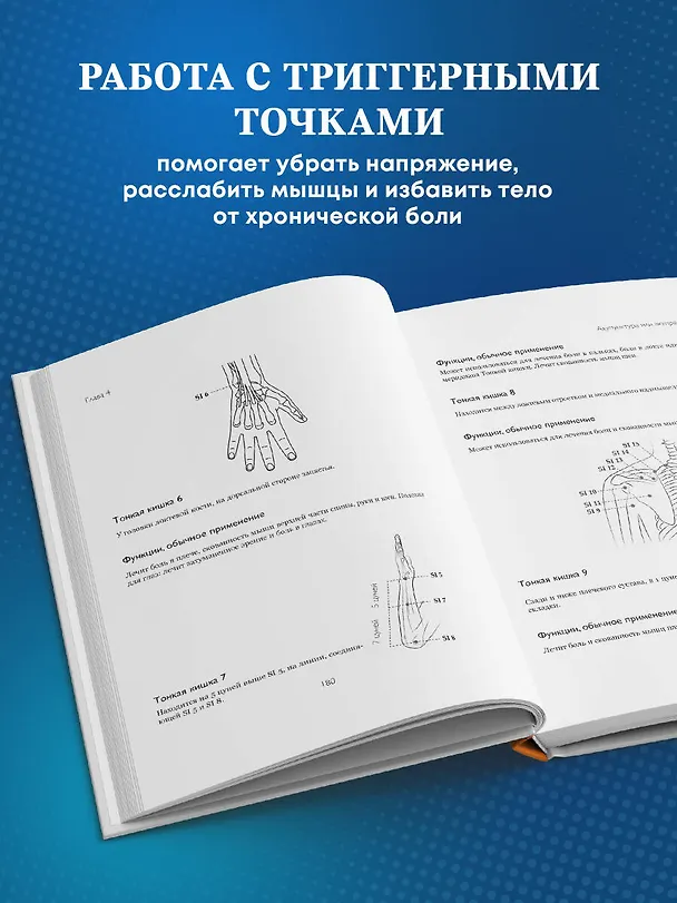 Книга Акупунктура. Практическое руководство по функциональной проработке более 400 триггерных точек (Дебора Бликер) — 7