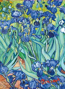 Обложка пластиковая универсальная. Ван Гог. Ирисы (маленький формат)