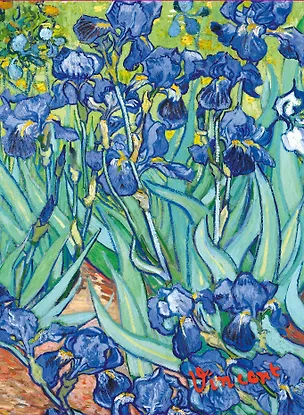 Обложка пластиковая универсальная. Ван Гог. Ирисы (маленький формат) 336045