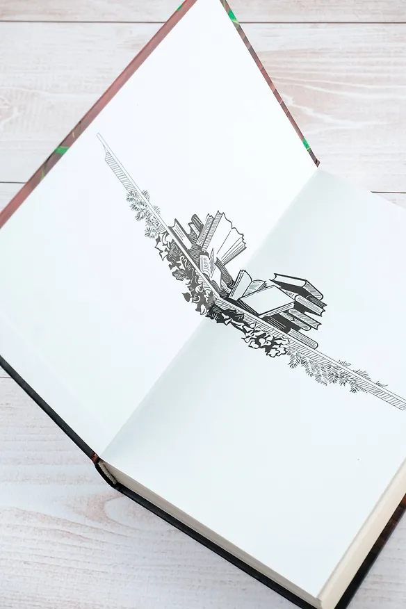 Книга Библиотечный шпион (Мэделин Мартин) — 8