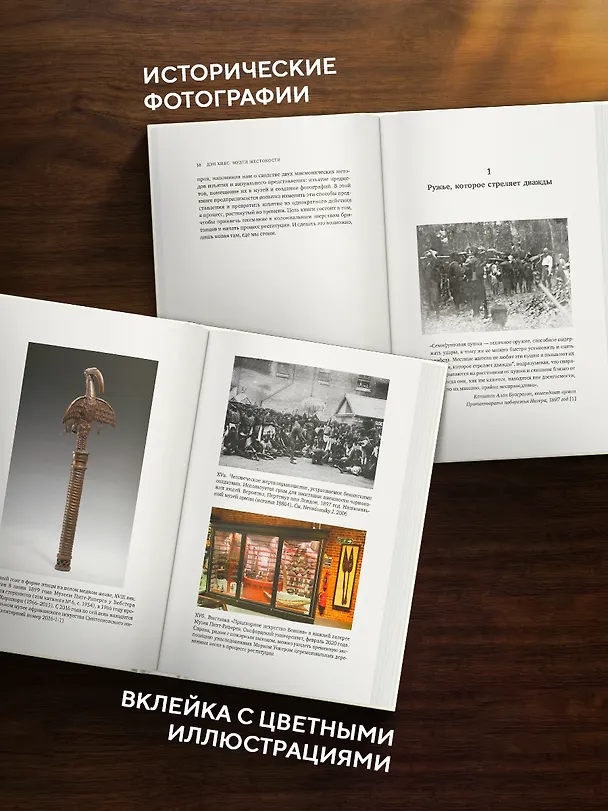 Книга Музеи жестокости: Бенинские бронзы, колониальное насилие и культурная реституция (Дэн Хикс) — 7