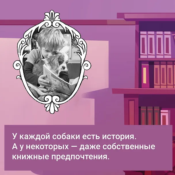 Книга Собаки книжного магазина на краю света (Рут Шоу) — 8