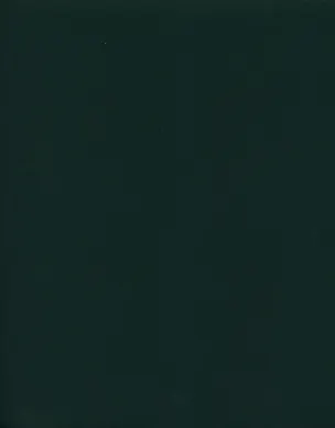 Тетрадь в клетку Listoff, "Зеленый бумвинил", 96 листов 2960952