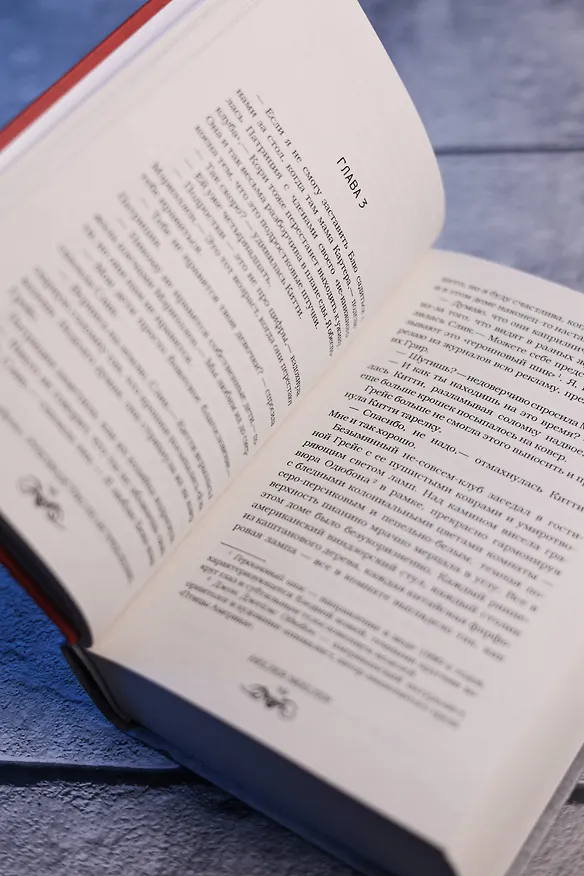 Книга Руководство по истреблению вампиров от книжного клуба Южного округа: роман (Грейди Хендрикс) — 12