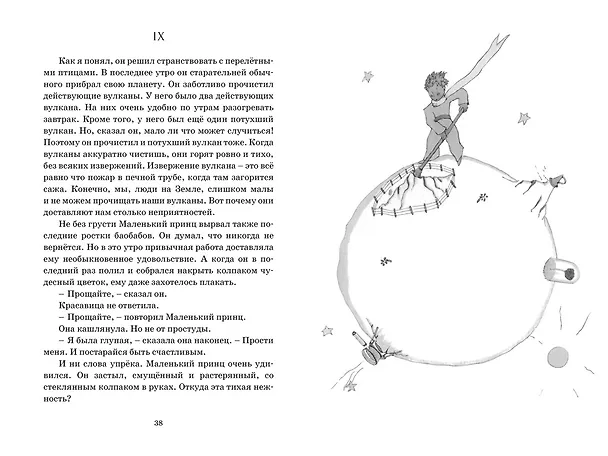 Книга Маленький принц (Антуан де Сент-Экзюпери) — 13