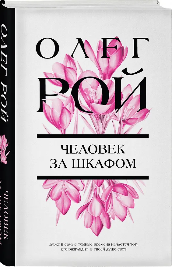 Книга Человек за шкафом (Олег Рой) — 4