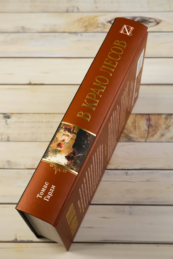 Книга В краю лесов (Томас Гарди) — 8