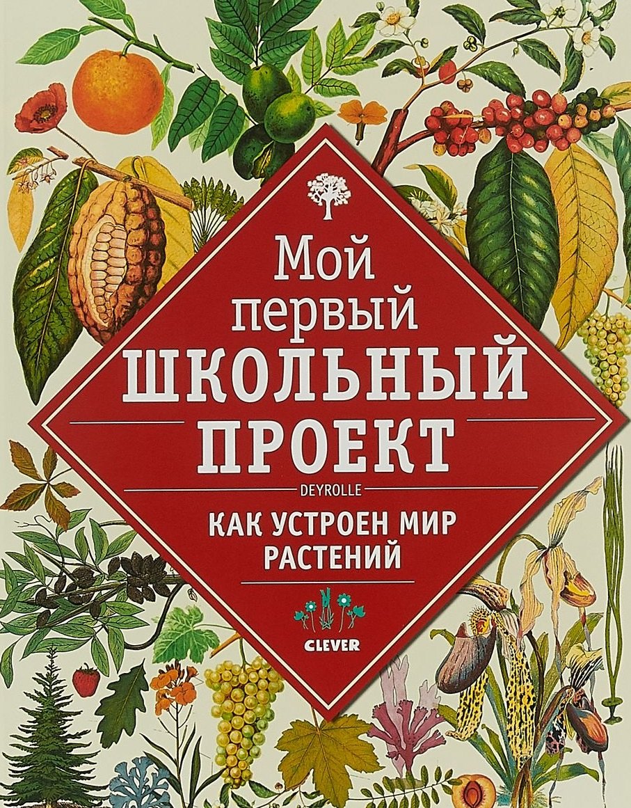 

Мой первый школьный проект. Как устроен мир растений