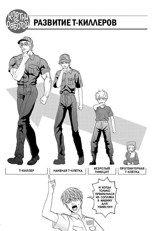 Клетки за работой. Том 2 (Hataraku Saibou). Манга 3093214 — 5