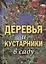 Деревья и кустарники в саду — 2650685 — 1