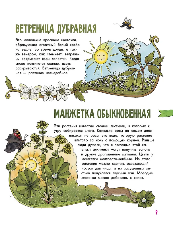 Книга Цветы и растения (Эмма Янссон) — 6