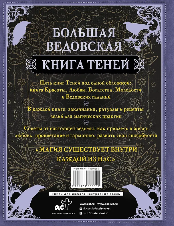 Книга Большая ведьмовская книга заклинаний, ритуалов и обрядов. Магические практики. Книга теней (Лада Зеник) — 2