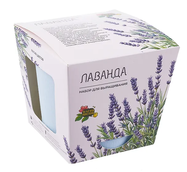 Набор для выращивания растений "Магия Цветов", Лаванда 3068639 — 1