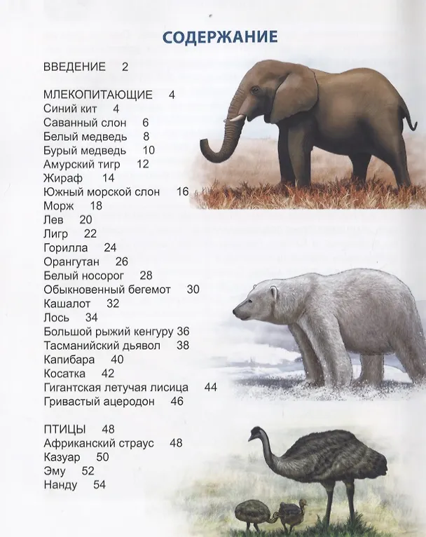 Книга Гиганты животного мира. Энциклопедия () — 2