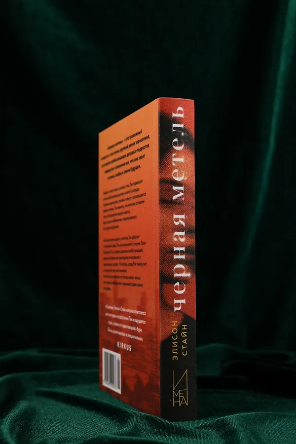Книга Черная метель (Элисон Стайн) — 9